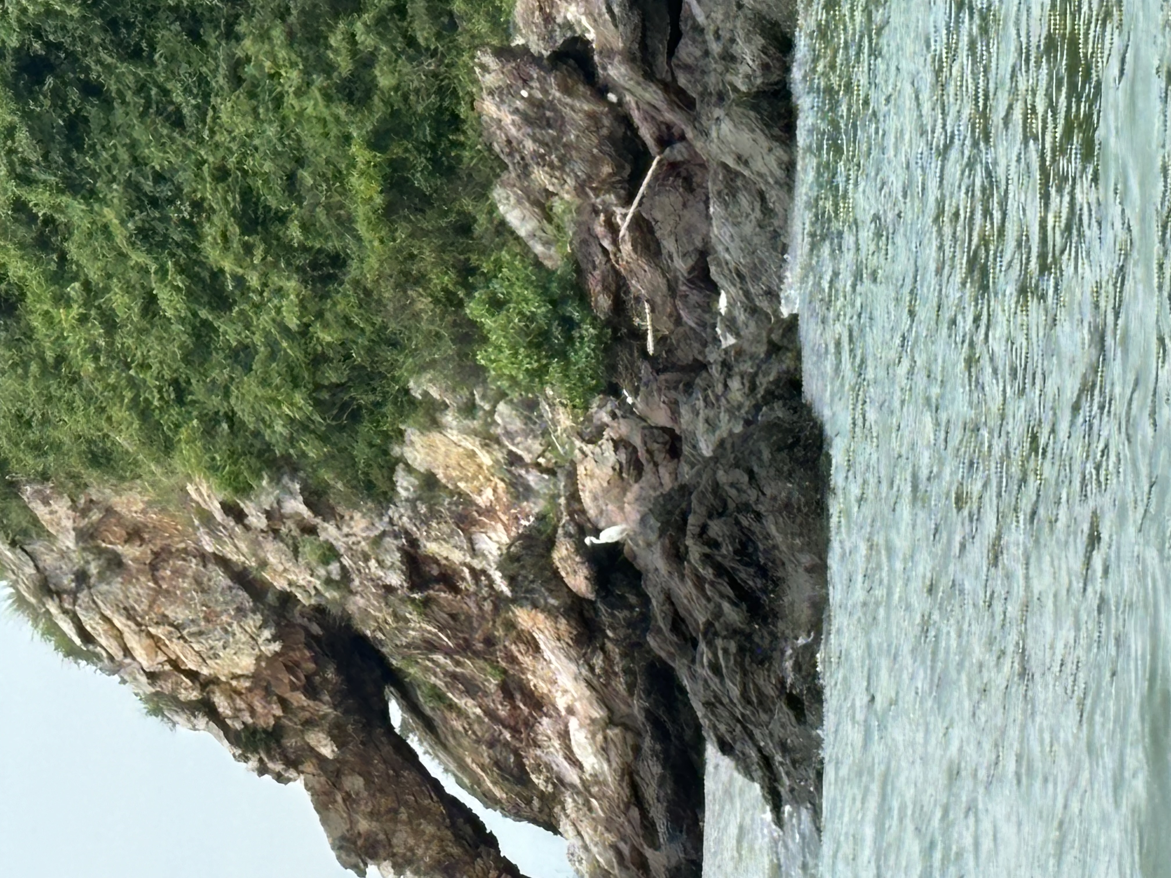 大澳的船上拍的